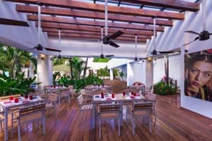 Maki Taco - Grand Oasis Cancun